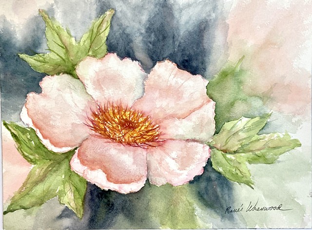 Soft Petals