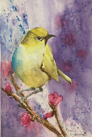 Yellow Bird Glancing