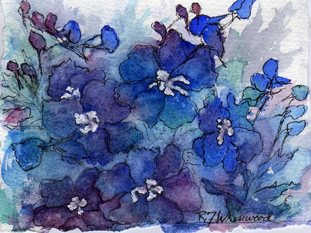 Small, loose painting of Delphiniums with watercolor and ink in shades of blue