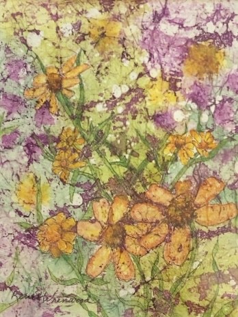 Zinnia linearis
