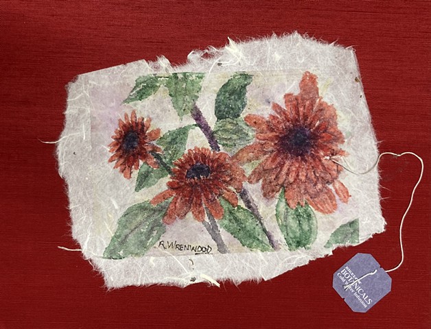 Echinacea Tea
