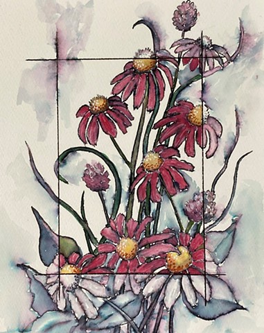 Elegant Echinacea
