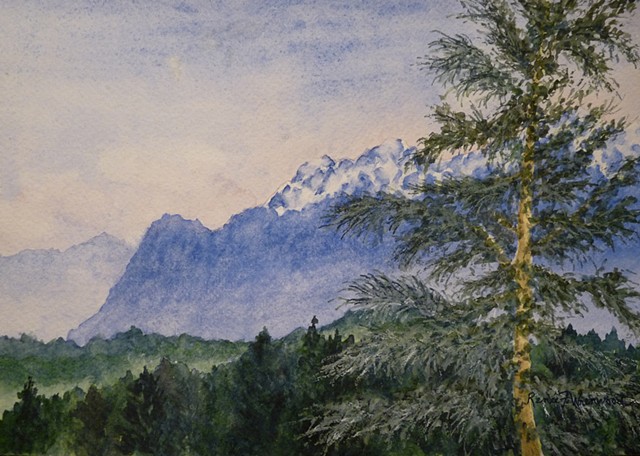 Mountains in Seattle, with Douglas Fir tree in foreground
