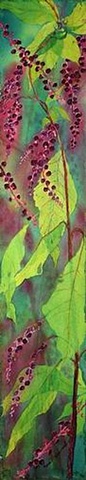 pokeberries, plants , translucent, lime green, magenta, watercolor