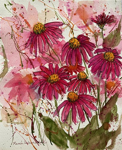 Echinacea Party