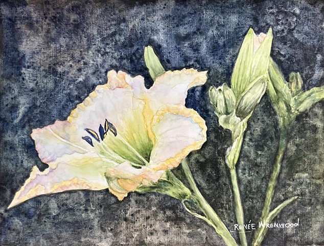 Day(lily) and Night