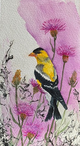 Goldfinch and Thistles