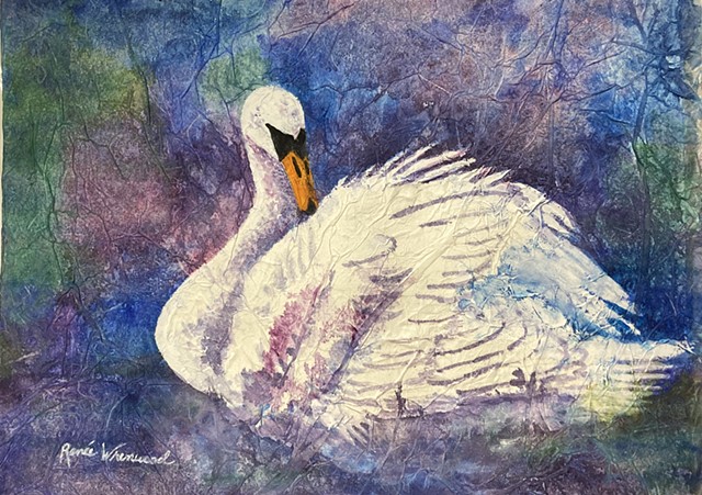 Mystic Swan