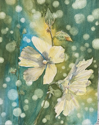 Yellow Hollyhock