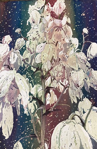 Yucca Prismatica