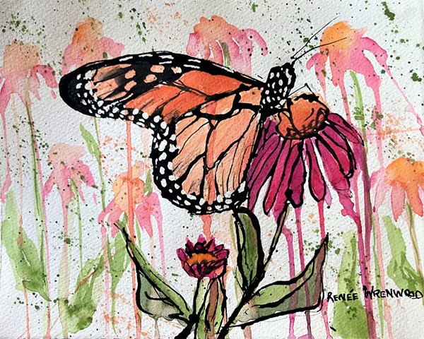 Wings and Wildflowers