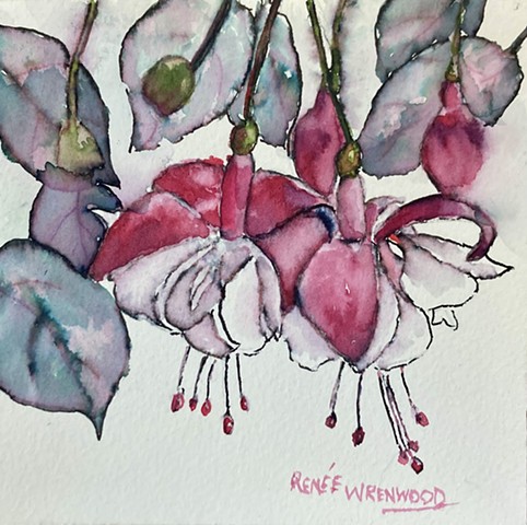 Fuchsia