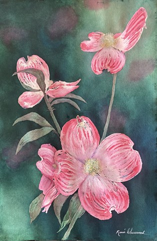 Pink Dogwoods