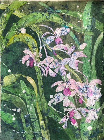 Orchids