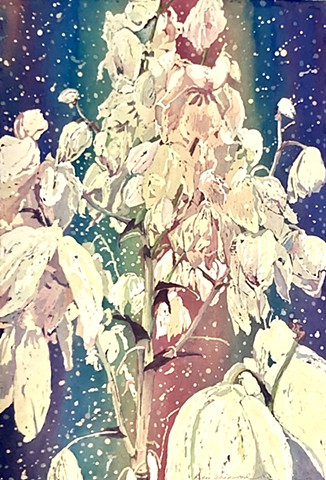 Paintings