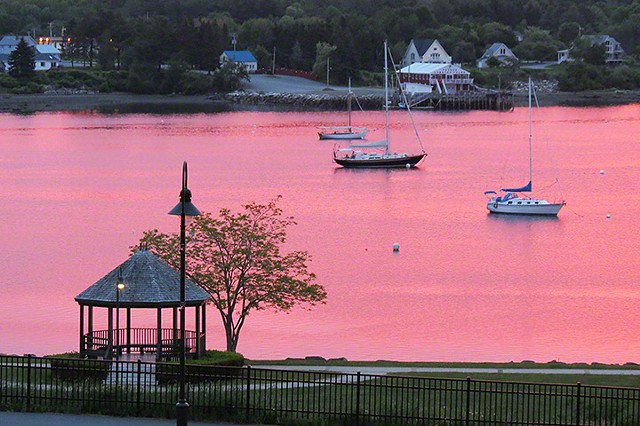 Pink Harbor, Belfast, Maine