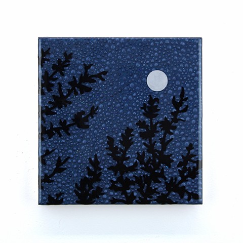 moon shine