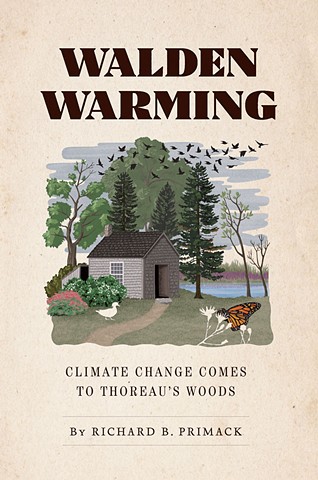 illustration of Thoreau's cabin after climate change