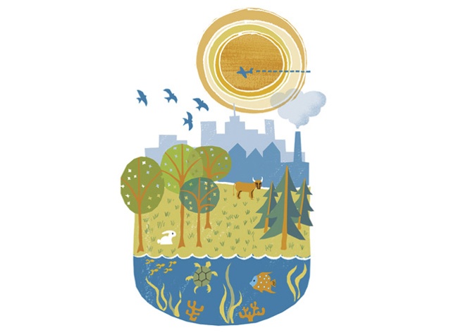 stylized illustration of the ecosystem