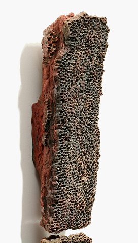 Sculpture by Tom Szmrecsanyi Paperclay, Beeswax, and Ceramic pigment