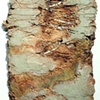 Surface Study- erosion