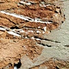 Surface Study- erosion (detail)