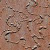Steel Study (detail)