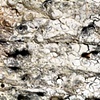 Surface Study- salt-fired (detail 1)