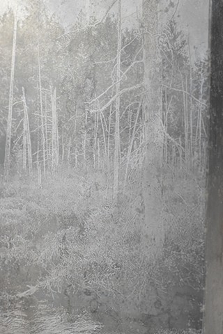 Bogs unknown till winter (Detail)
