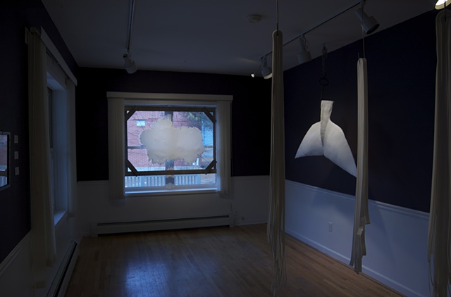 "Rendering"
Solo exhibition at the Adirondack Lakes Center for the Arts