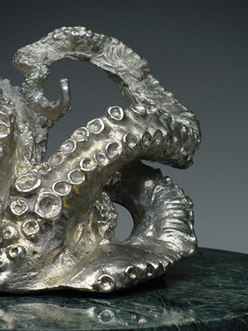 Octopus (detail)