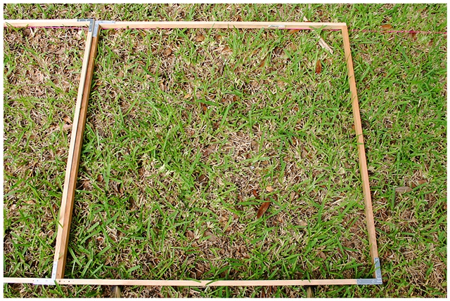 Planting Into the Grid, 2009 Row 2, Image 18, July 24, 2010