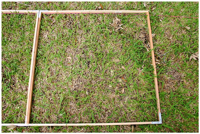Planting Into the Grid, 2009 Row 2, Image 14, July 24, 2010