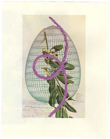 Audubon Print, Algoritmic art, inkjet print with painting, diagrams, algorithmic beauty plant, calligraphy, quantum physics,Steven Breaux.