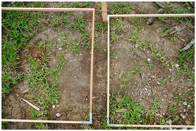 Planting Into the Grid, 2009 Row 2, Image 1, July 24, 2009