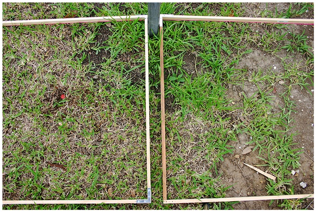 Planting Into the Grid, 2009 Row 2, Image 39, July 24, 2010