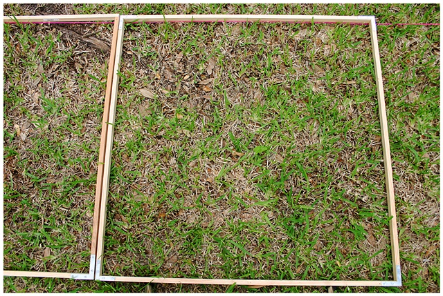 Planting Into the Grid, 2009 Row 2, Image 32, July 24, 2010