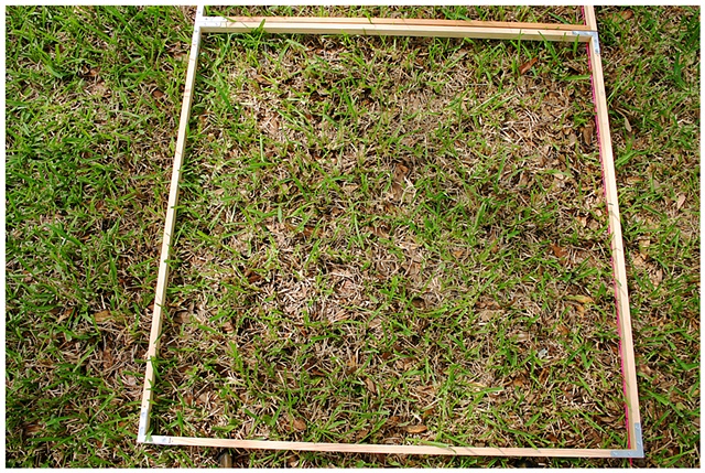 Planting Into the Grid, 2009 Row 2, Image 23, July 24, 2010