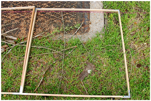 Planting Into the Grid, 2009 Row 2, Image 9, July 24, 2010