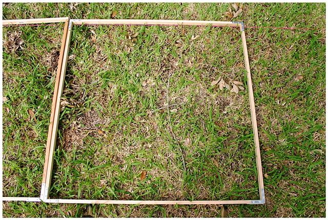 Planting Into the Grid, 2009 Row 2, Image 15, July 24, 2010