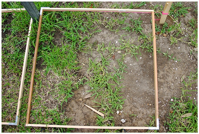 Planting Into the Grid, 2009 Row 2, Image 1, July 24, 2010