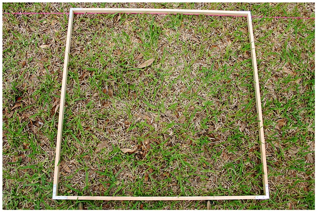 Planting Into the Grid, 2009 Row 2, Image 30, July 24, 2010