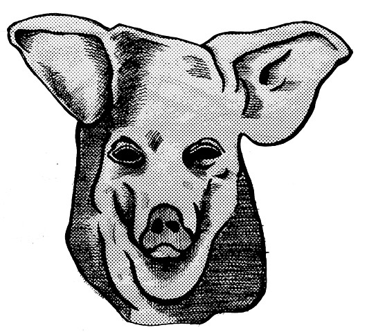Pig Mask, just the half-tones.