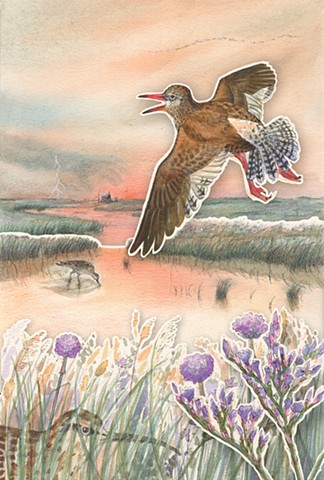 watercolour illustration a curlew flies over marshes in an orange sunset with other birds hiding in the rushes a haunted house is in the far distance