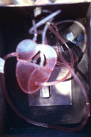 Detail Behind Baffle Showing Heart
Pumping Heart Slit/Pinhole Camera
lens photo
1988