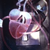 Plaster Heart Camera 1, 1987