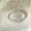 Detail of Pinhole in One Eye
one pinhole plaster face camera
1987