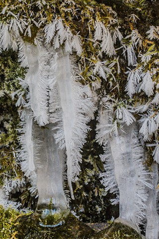 LliamGreguez Catskills iceformation ice iceart FrozenWater winter nature Stream naturephotography earthoutdoors roamtheplanet swivelable AgoraGallery Artist Macro Photography @str12ng
