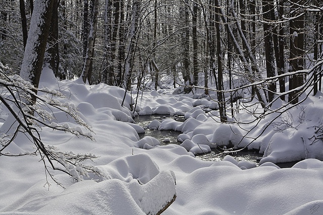 Catskill mountain winter Ice snow photograph by Lliam Greguez 2011