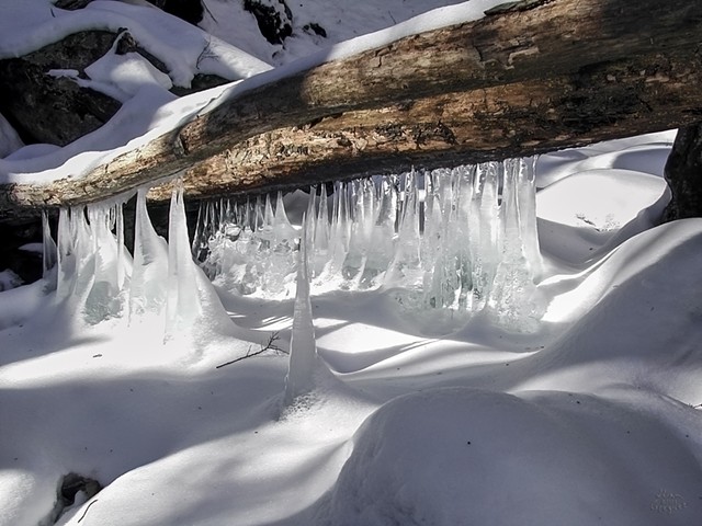 Catskill mountain winter Ice macro photograph by Lliam Greguez 2005